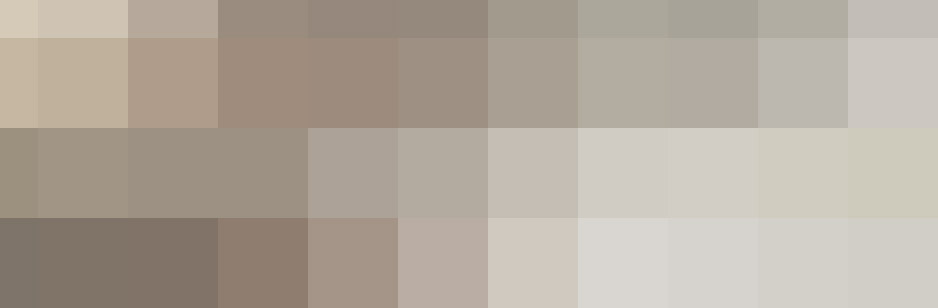 Discovery the summer collection