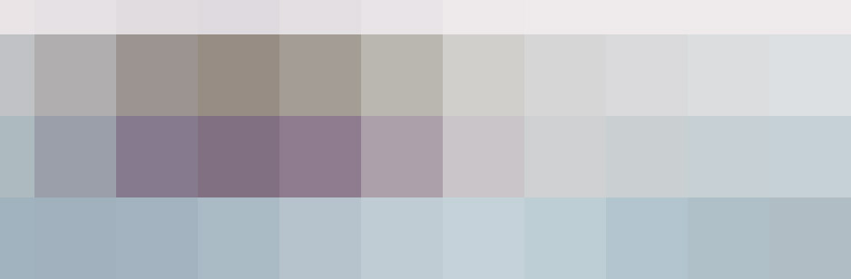 Bag Sport Collection