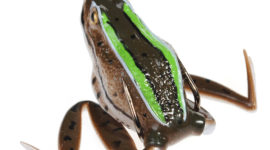 Yoshikawa Bass Fishing Hollow Body Frog Lure Topwater Surface Soft Plastic Bait 16g Twin Hooks 6/0